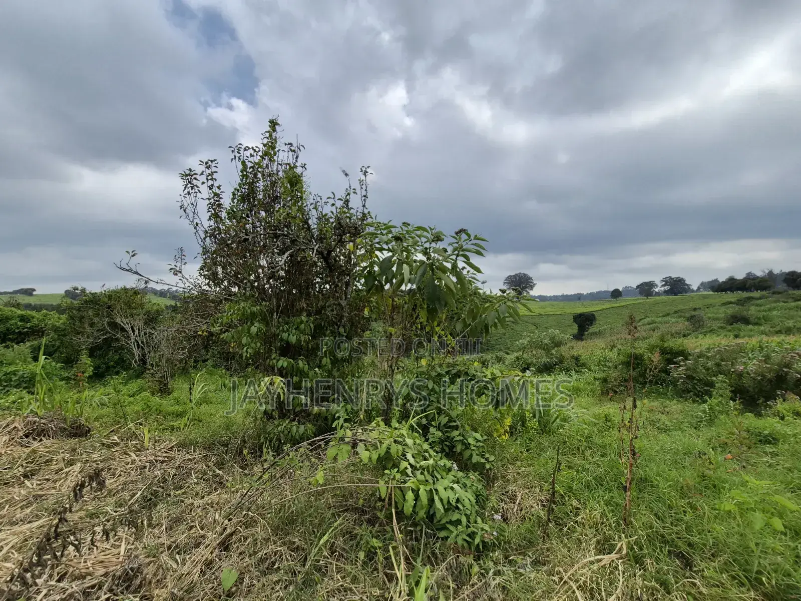 3 Acres of Land for Sale in Riara Ridge,Tigoni at KSHS