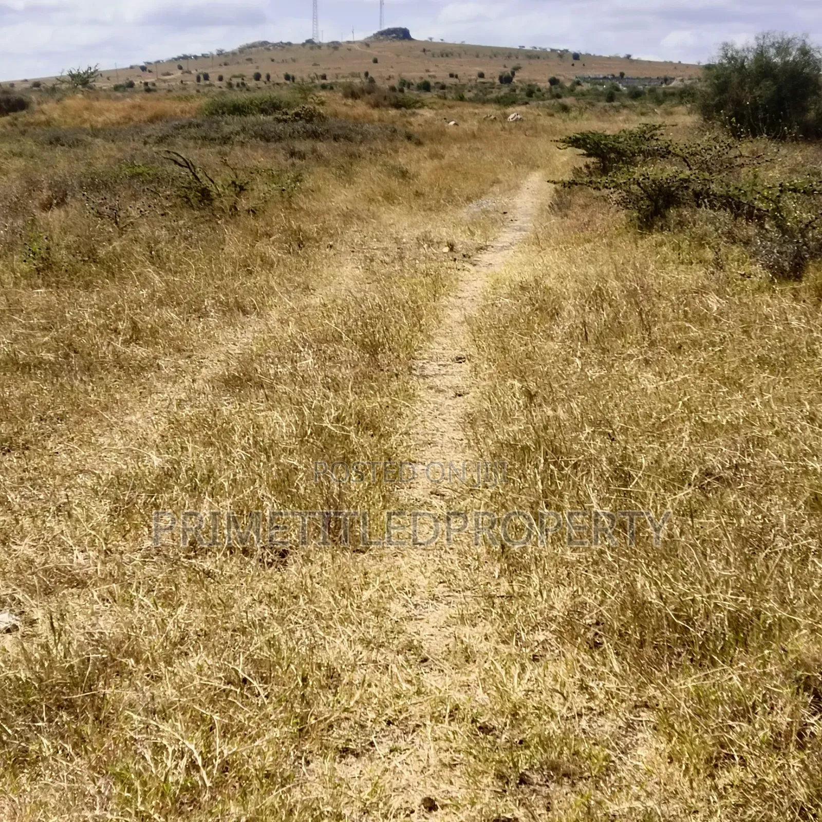 10.8 Acres at Konza/ Malili