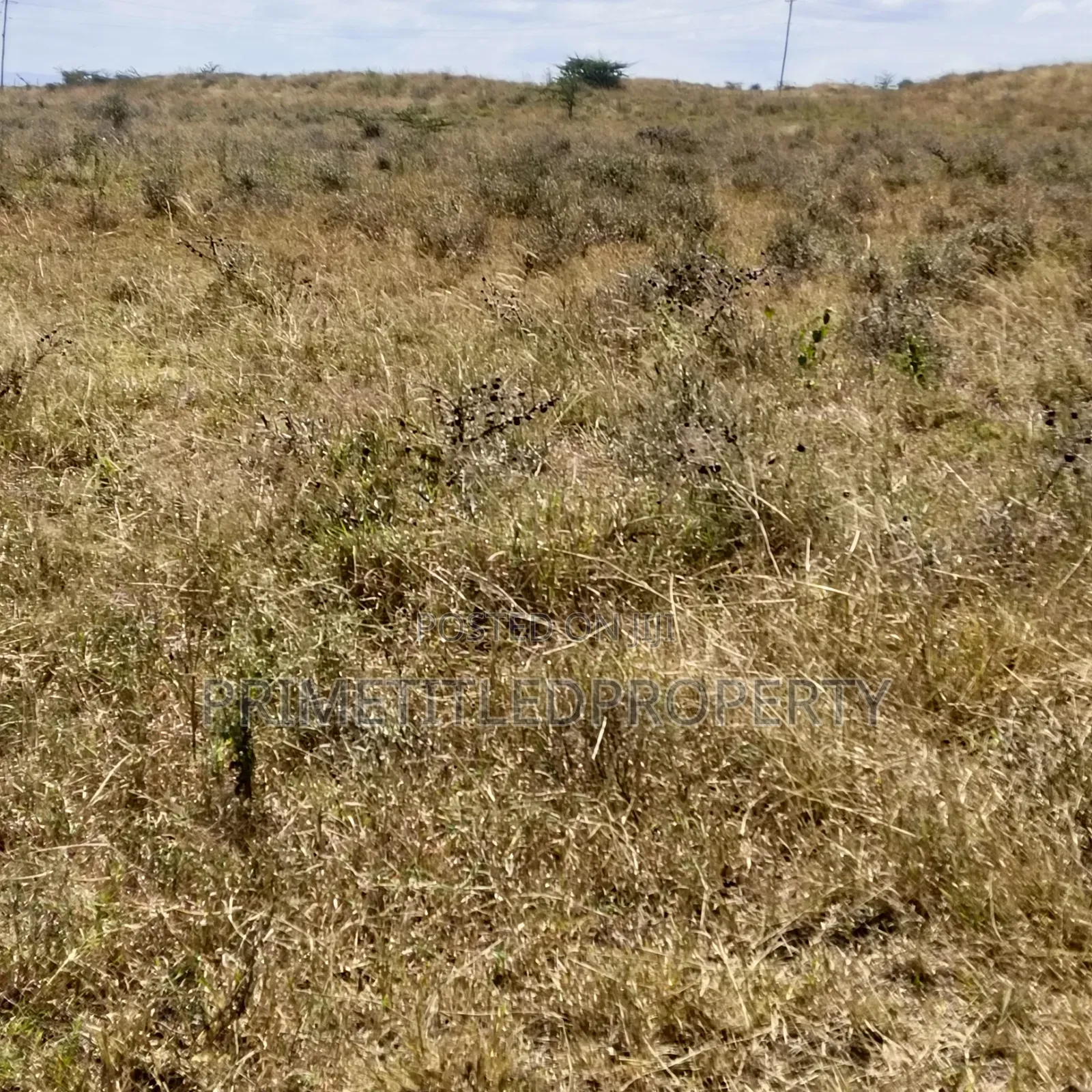 10.8 Acres at Konza/ Malili