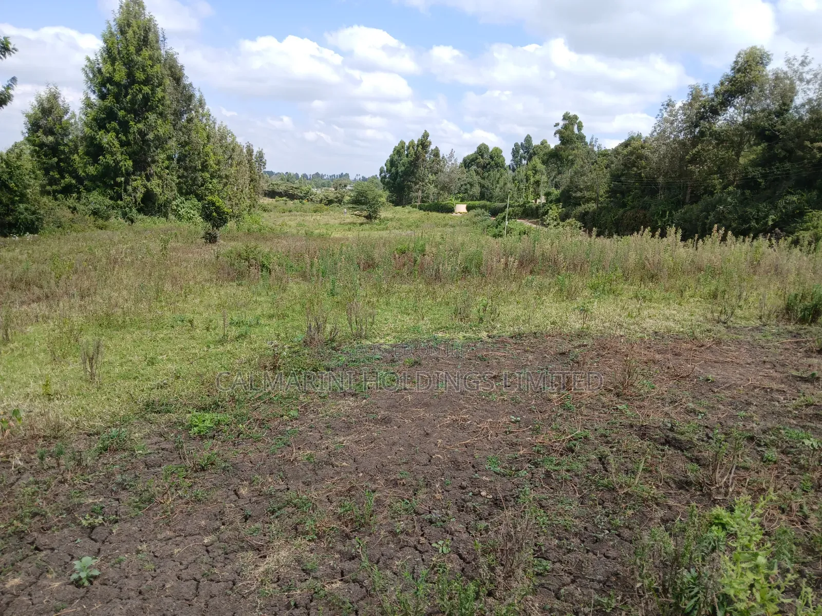 Prime Lipa Pole Pole Plots in Matasia, Ngong Near Tarmac