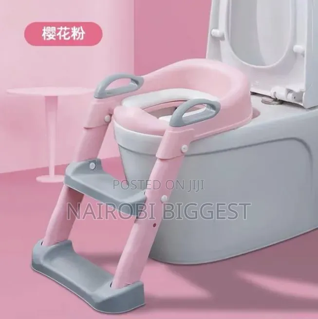 Toilet Ladder