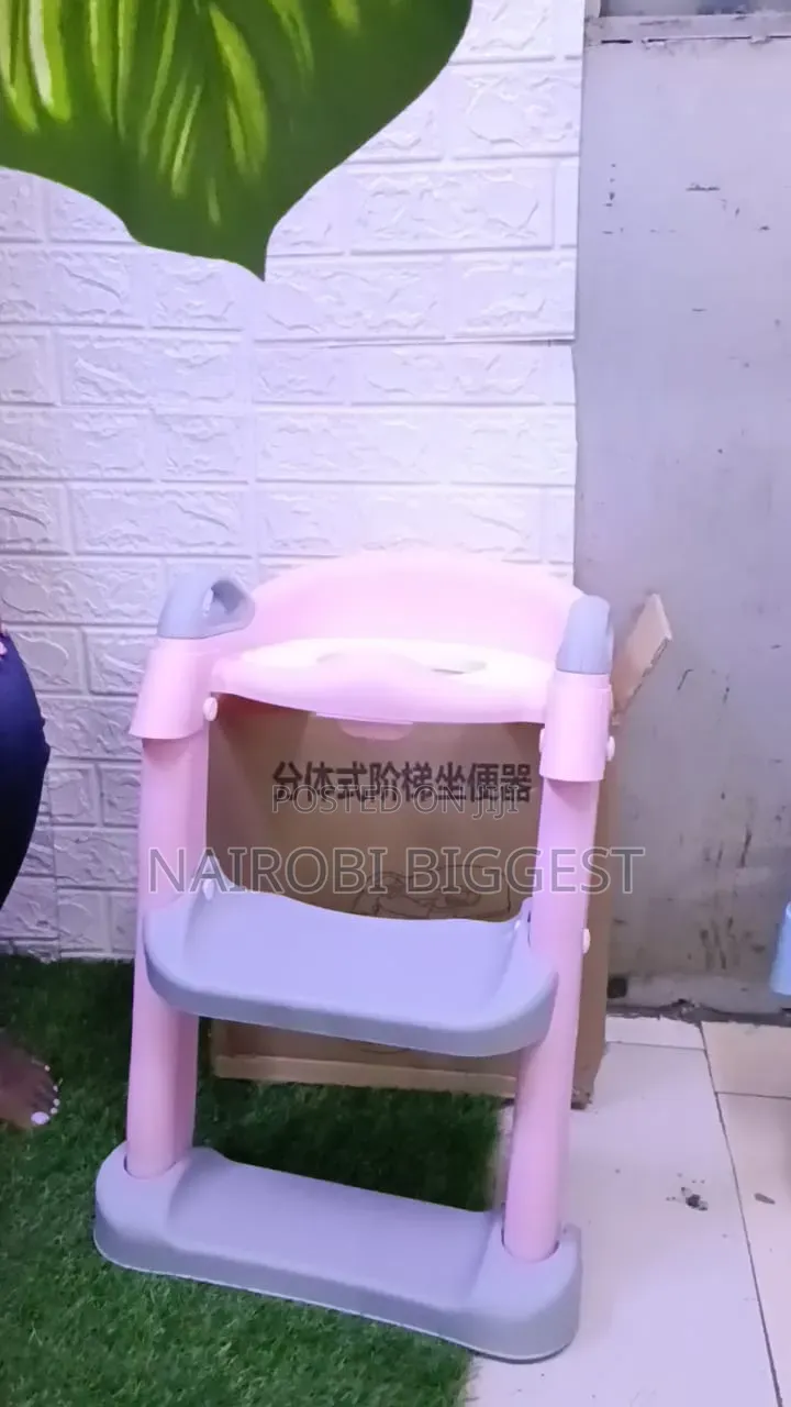 Toilet Ladder