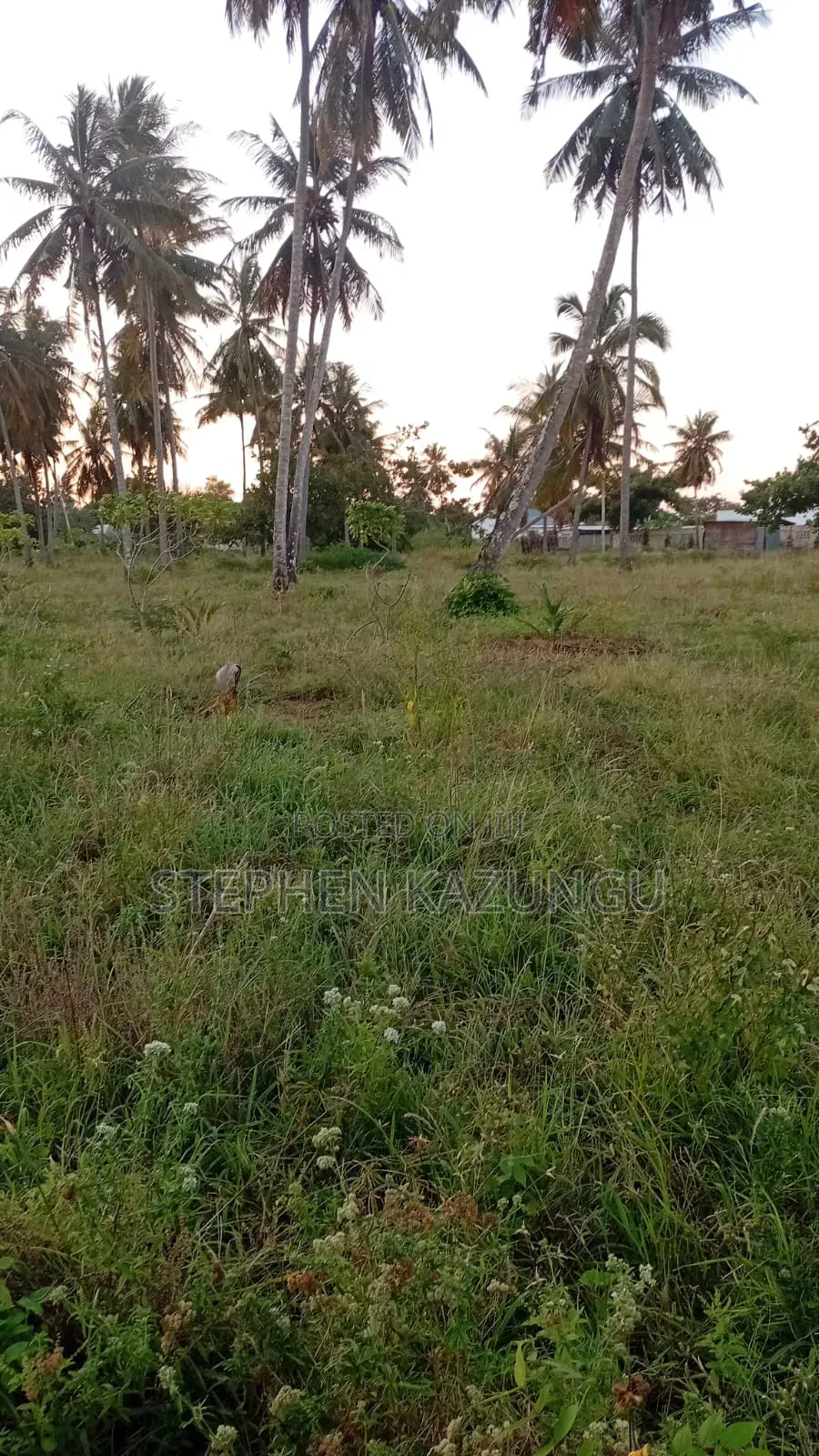 1/4 Acre Plot At Ganja La Simba, Near Kinondo Town