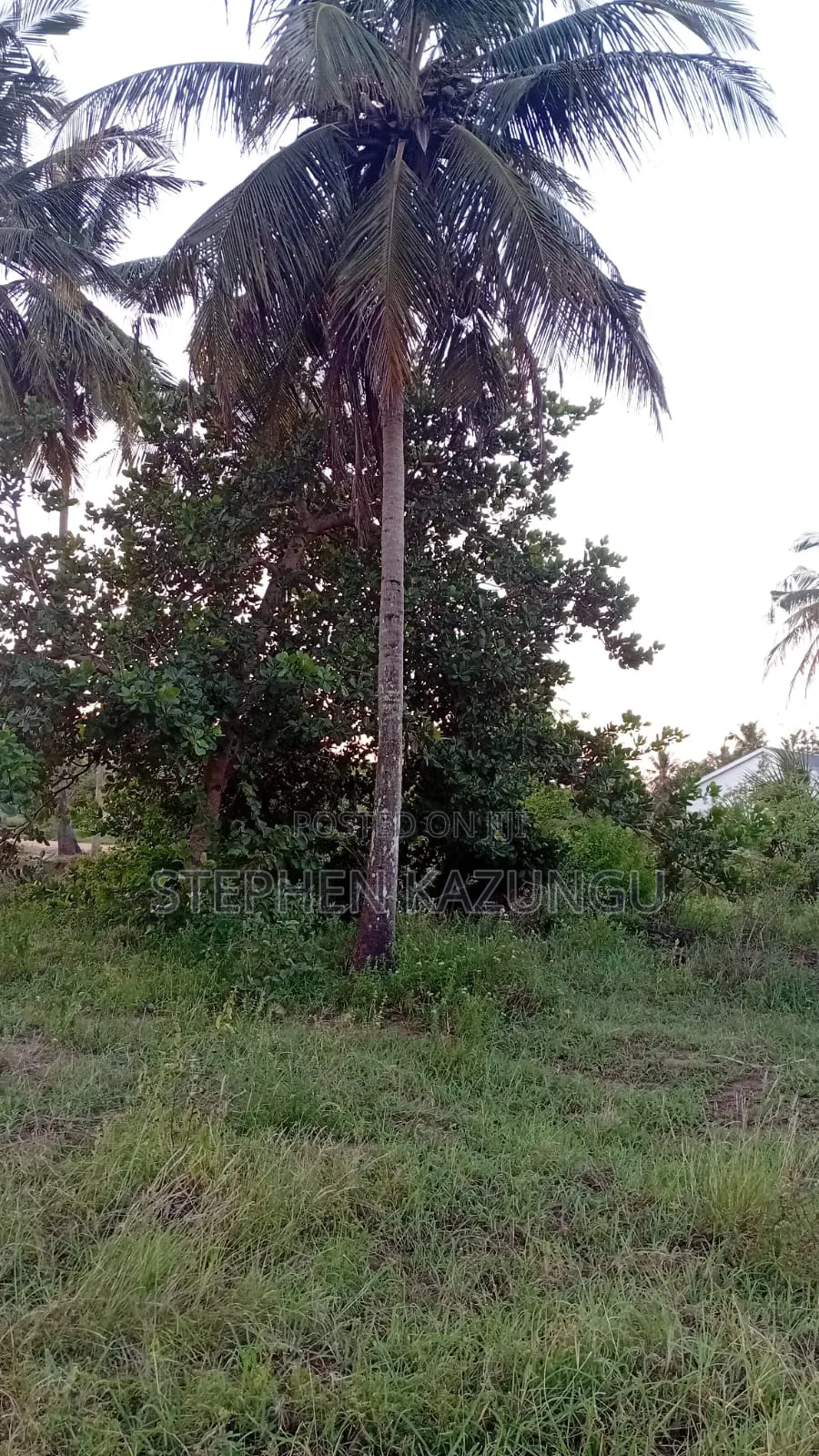 1/4 Acre Plot At Ganja La Simba, Near Kinondo Town