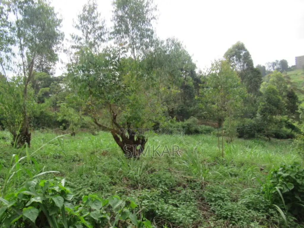 1.9 Acres of Land for Sale in Gachie