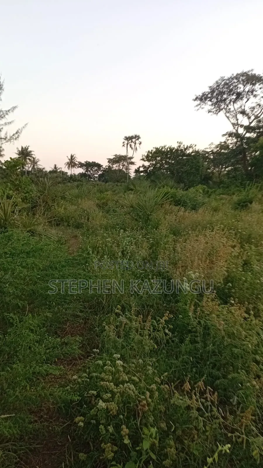 1/4 Acre Plot at Ganja La Simba Near the Road, and Close to Kinondo.