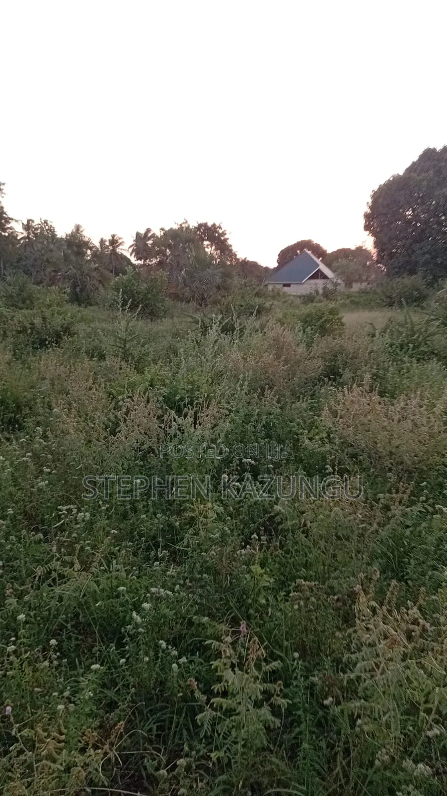 1/4 Acre Plot at Ganja La Simba Near the Road, and Close to Kinondo.