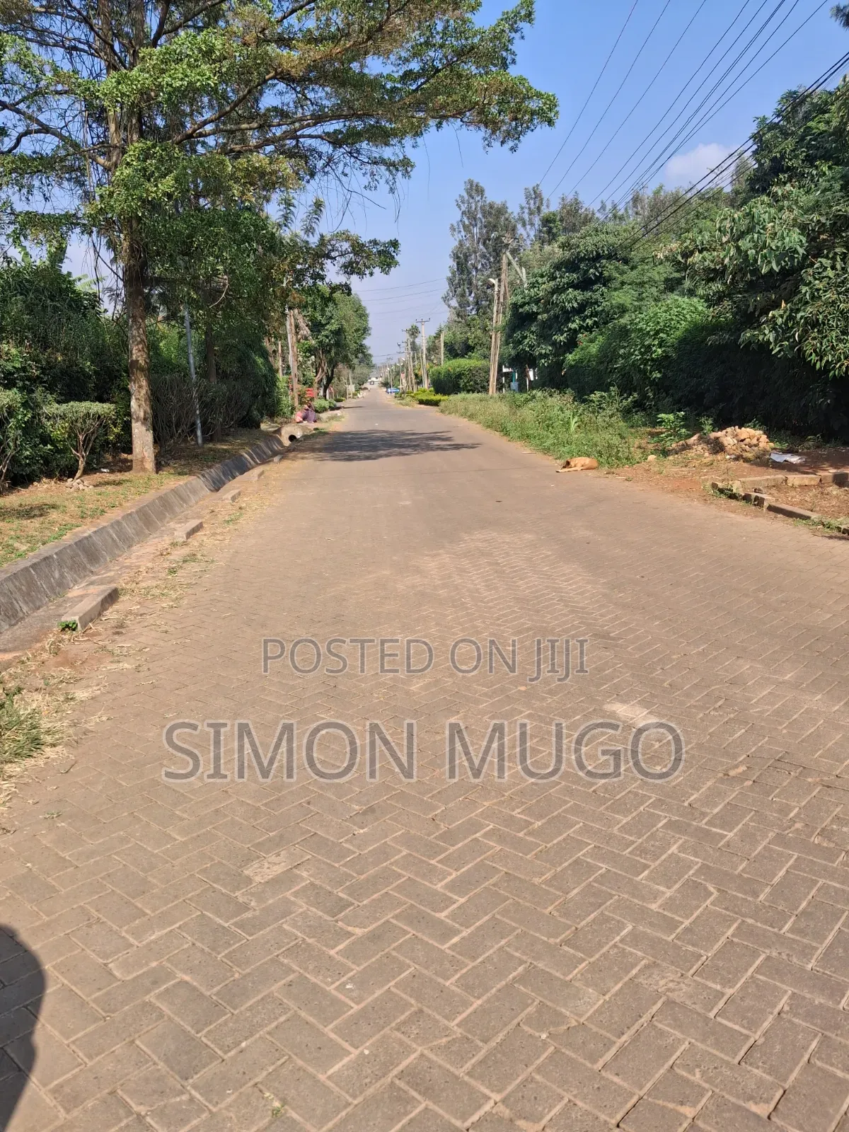 Thome 1 Estate Prime Well Drained Red Soil 1/2 Ac on Mugumoini Ave.