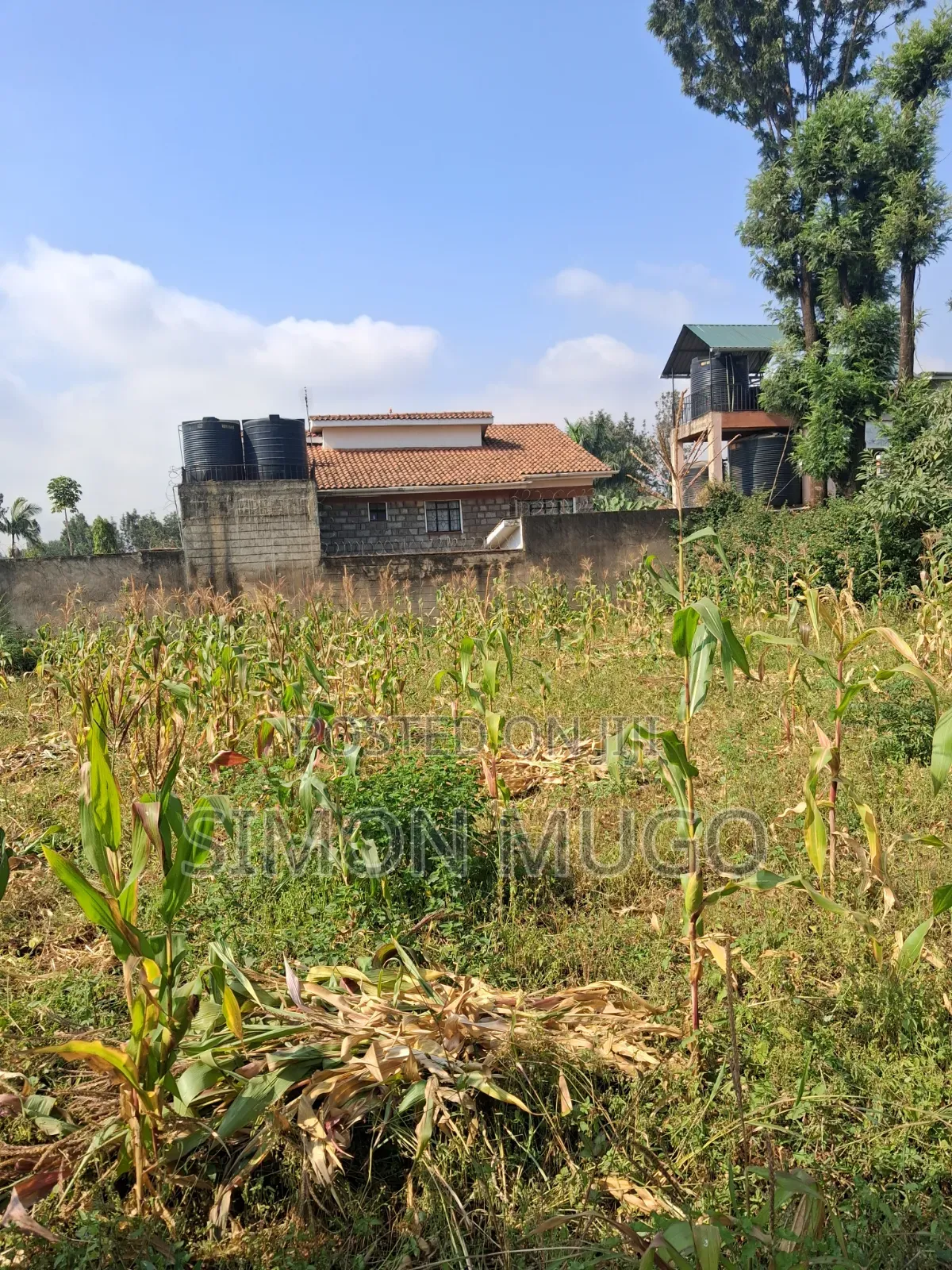 Thome 1 Estate Prime Well Drained Red Soil 1/2 Ac on Mugumoini Ave.