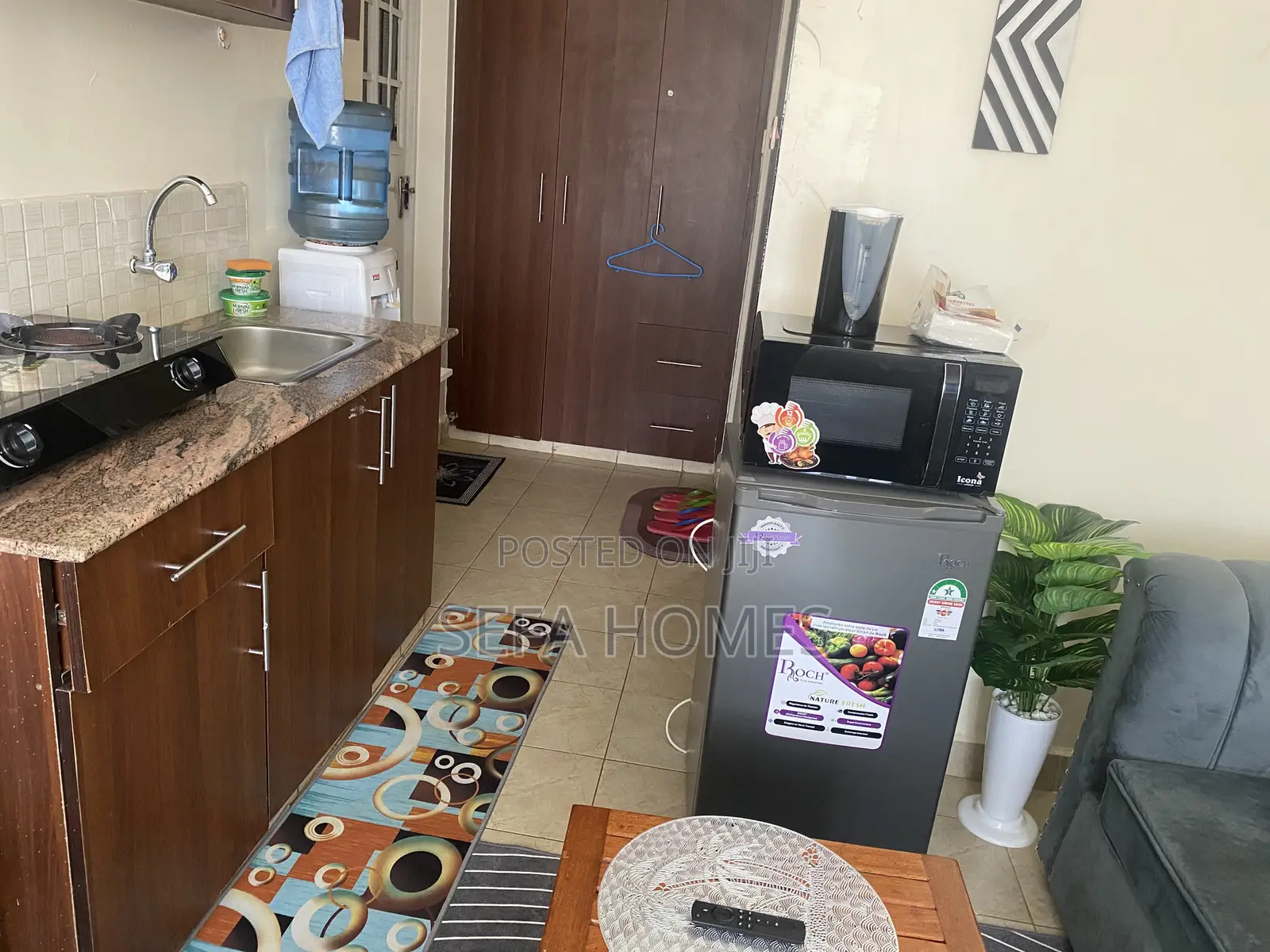 Nicely Furnished Studios Ruaka