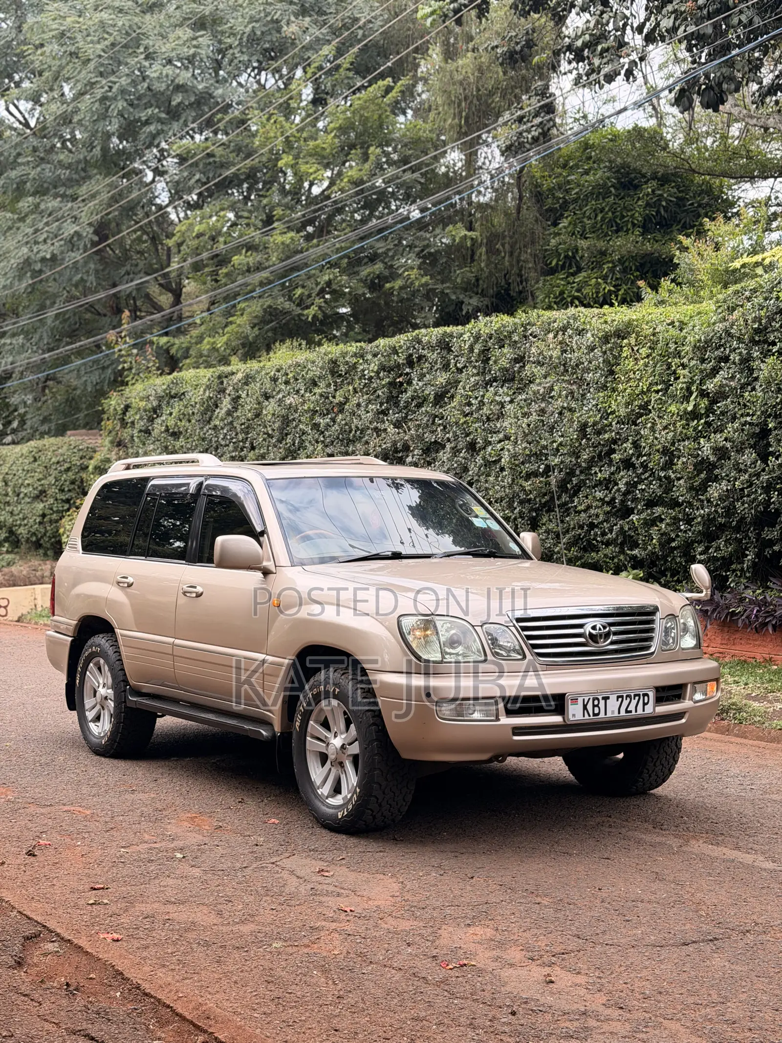Toyota Land Cruiser 2008 Gold