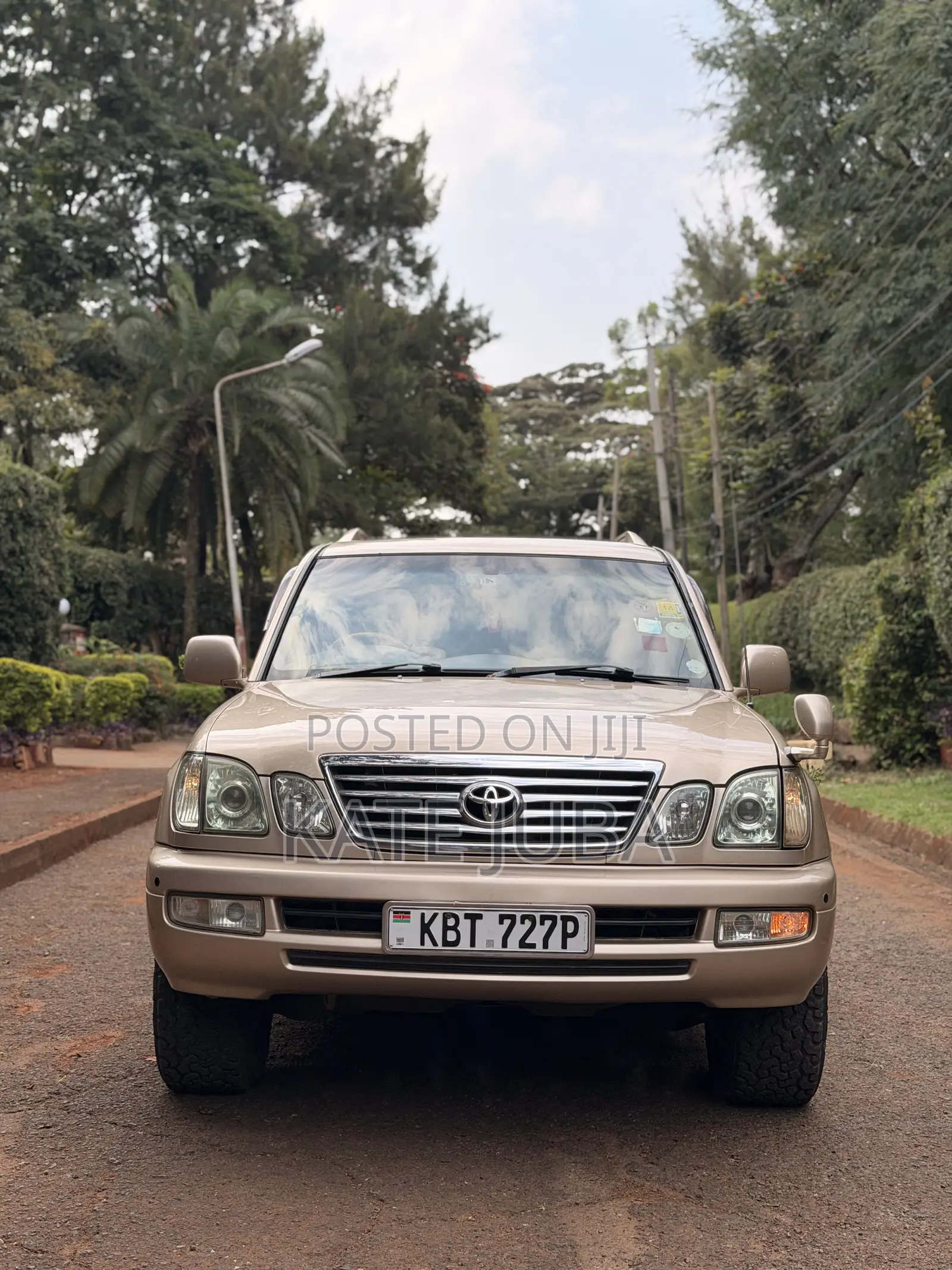 Toyota Land Cruiser 2008 Gold
