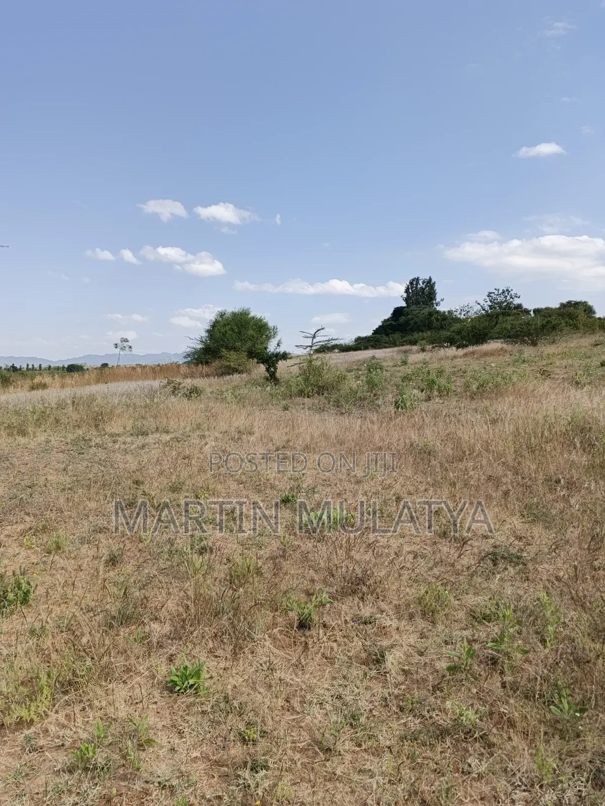 Land for Sell