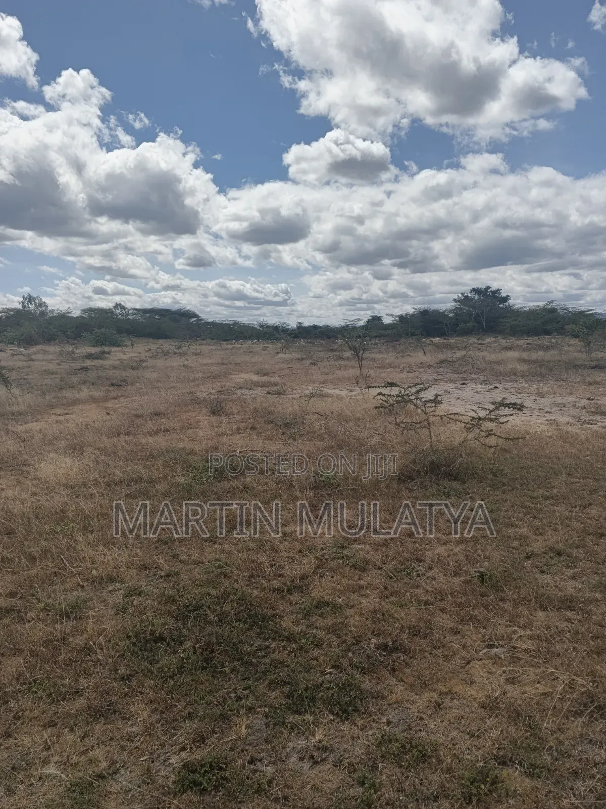 Land for Sell