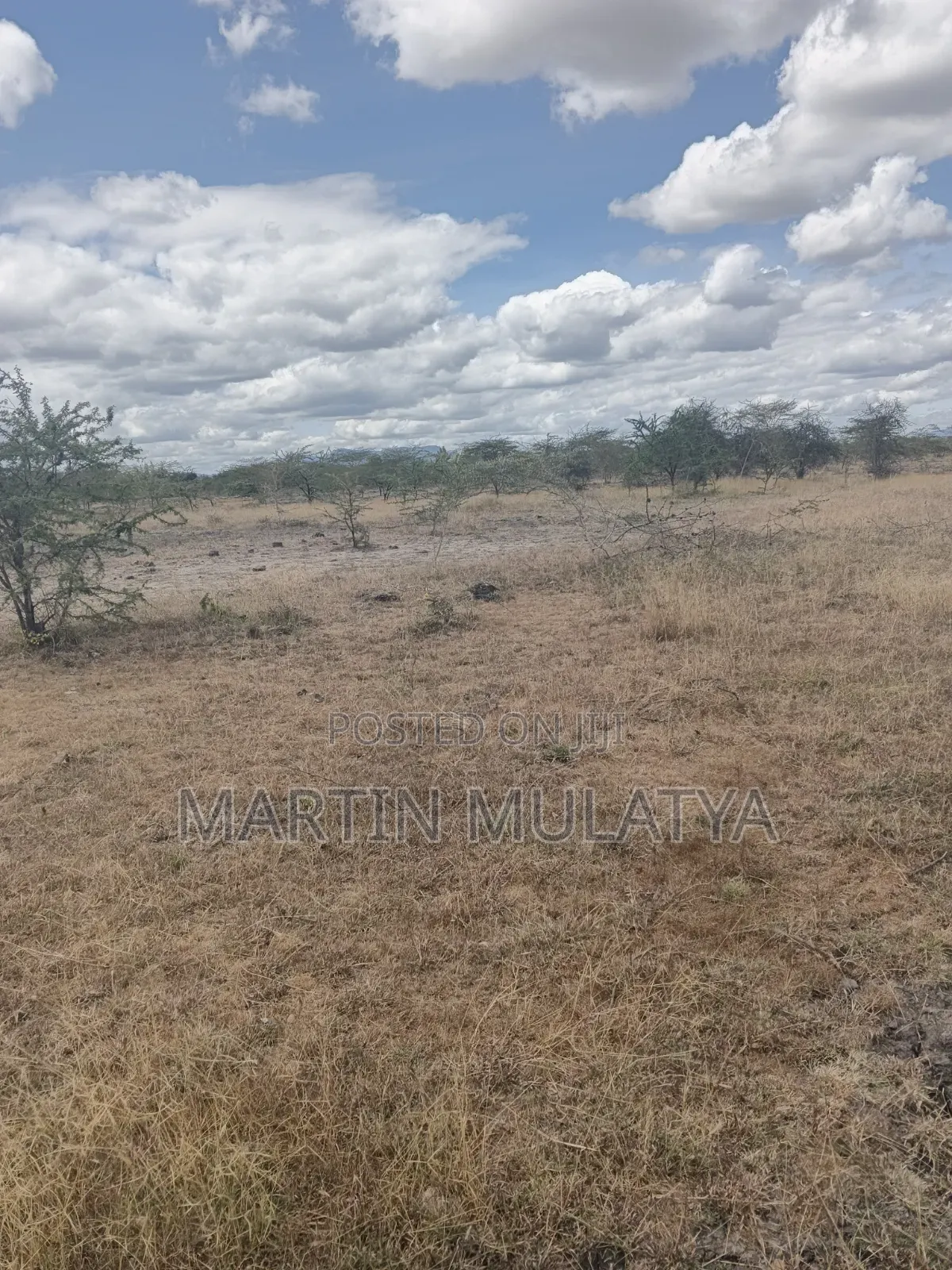 Land for Sell