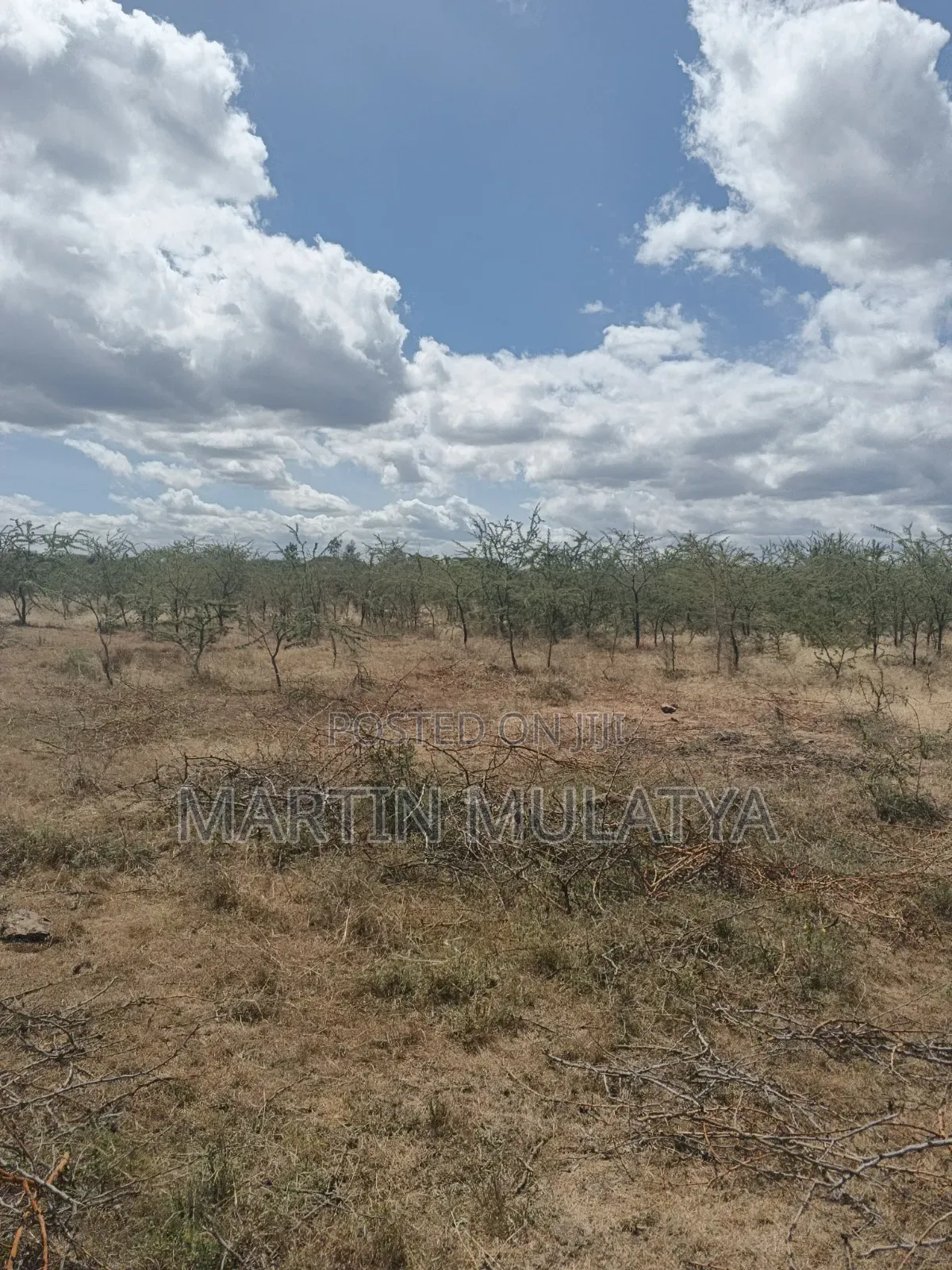 Land for Sell