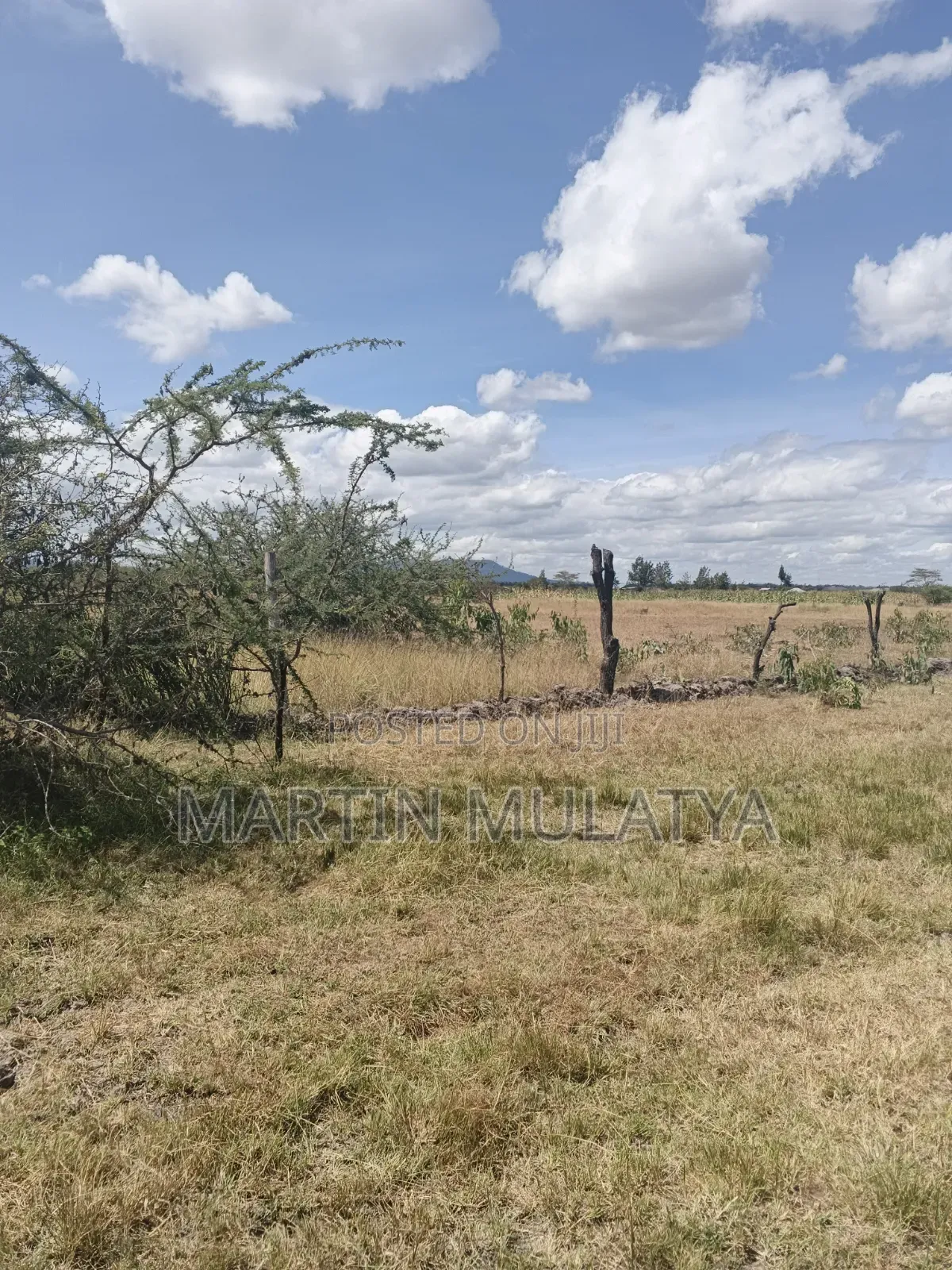 Land for Sell