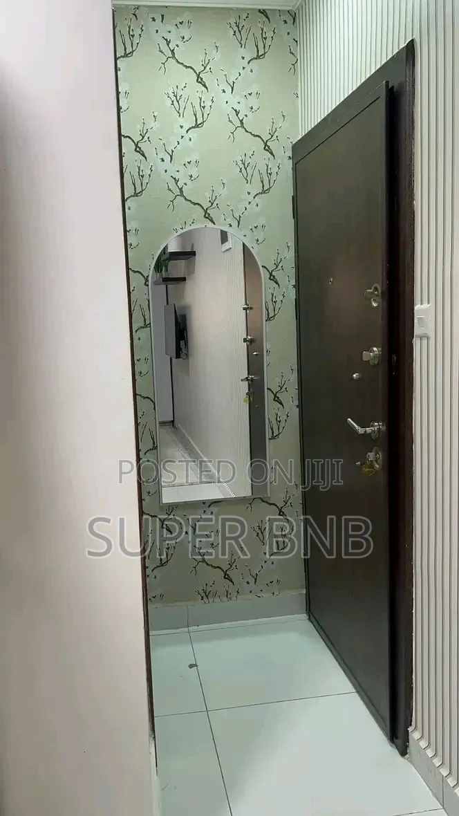 Furnished 1bdrm Apartment in Hotel 67 Area for rent
