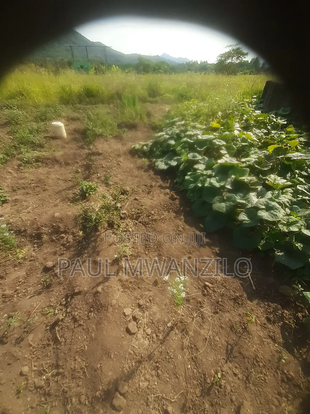 Land on Sale at Ukia Ward