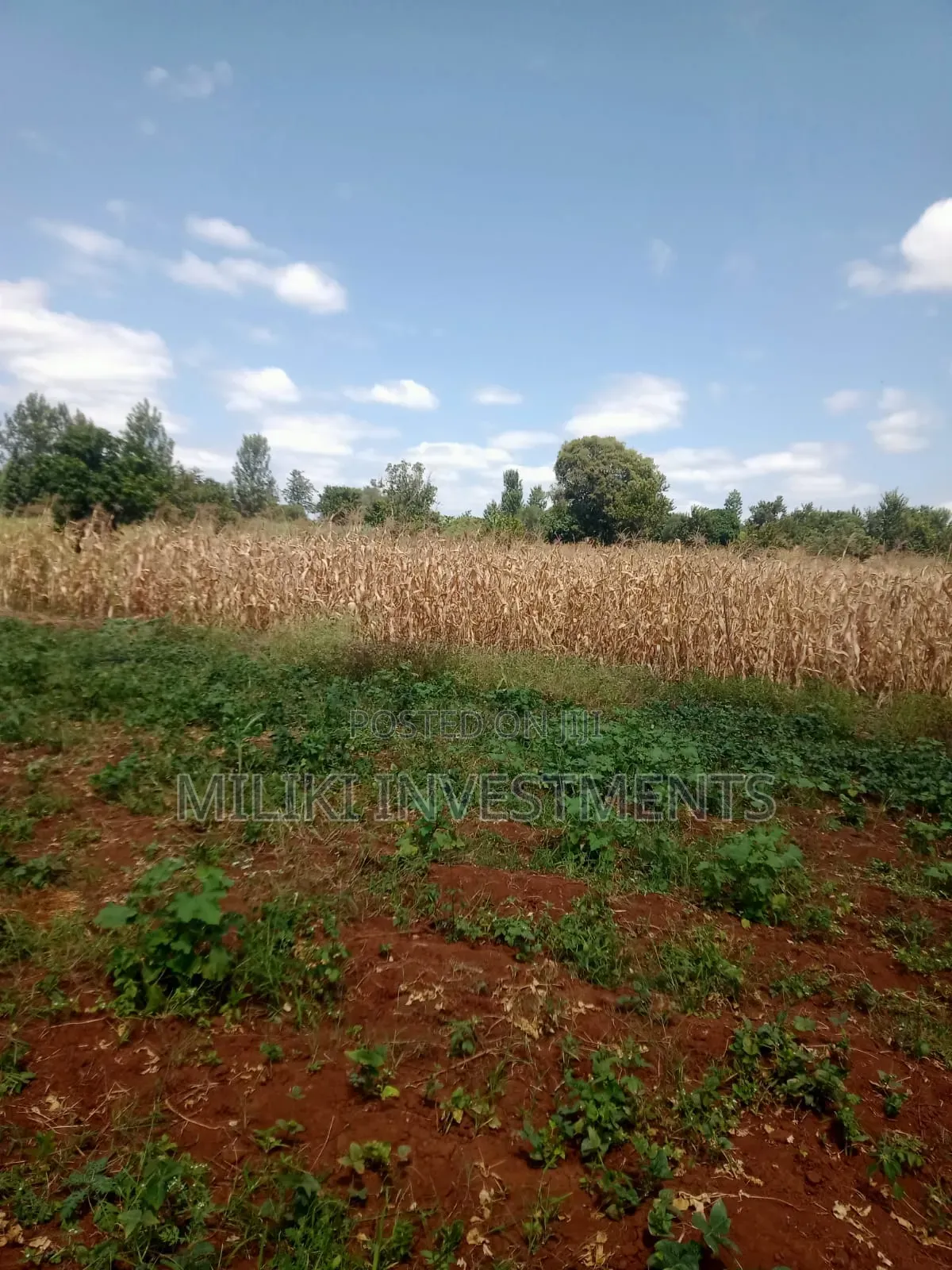 2 Acres of Land on Sale at Murang'a -Kambirwa