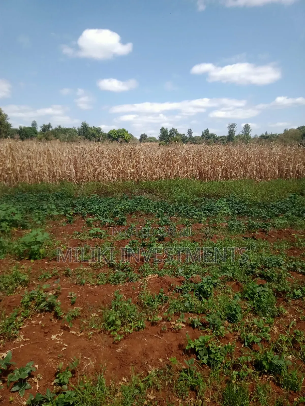 2 Acres of Land on Sale at Murang'a -Kambirwa