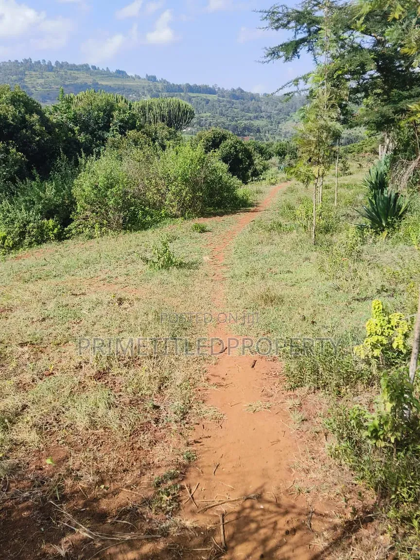 5.8 Acres at Mua Hills