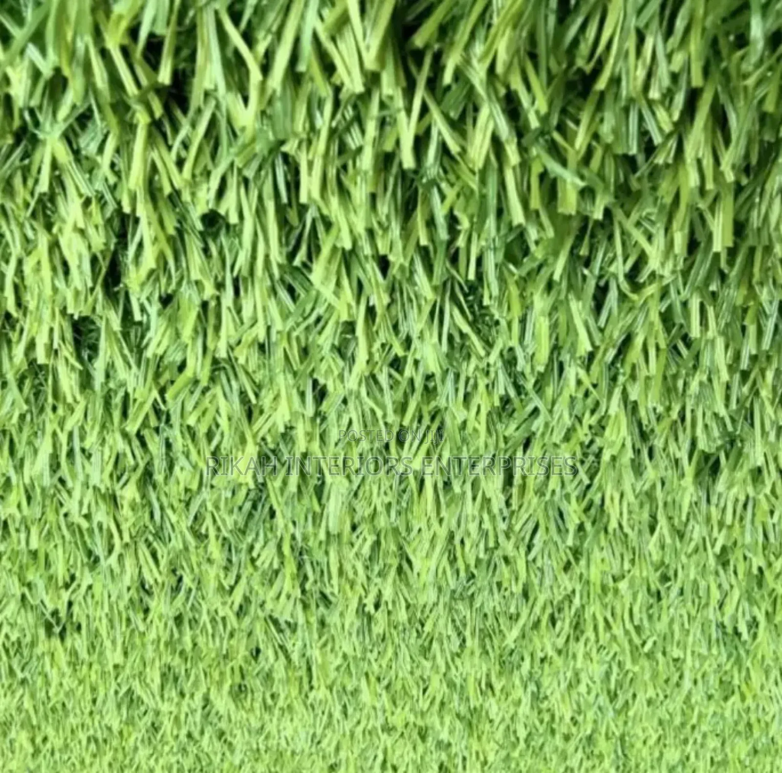 Wall Grass Carpets Grass Carpets Environmental Friendly Robertson's