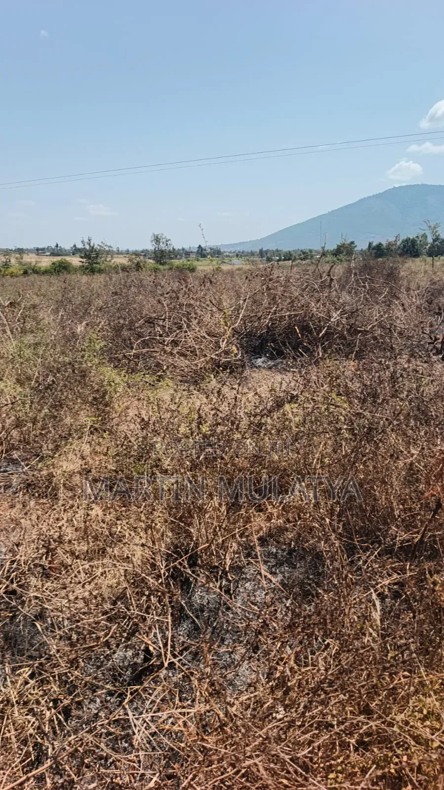 Land for Sell