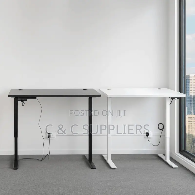 Sit Stand Office Electric Desk.