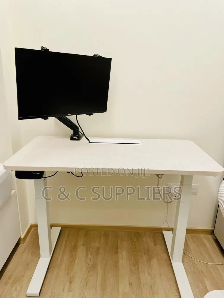 Sit Stand Office Electric Desk.