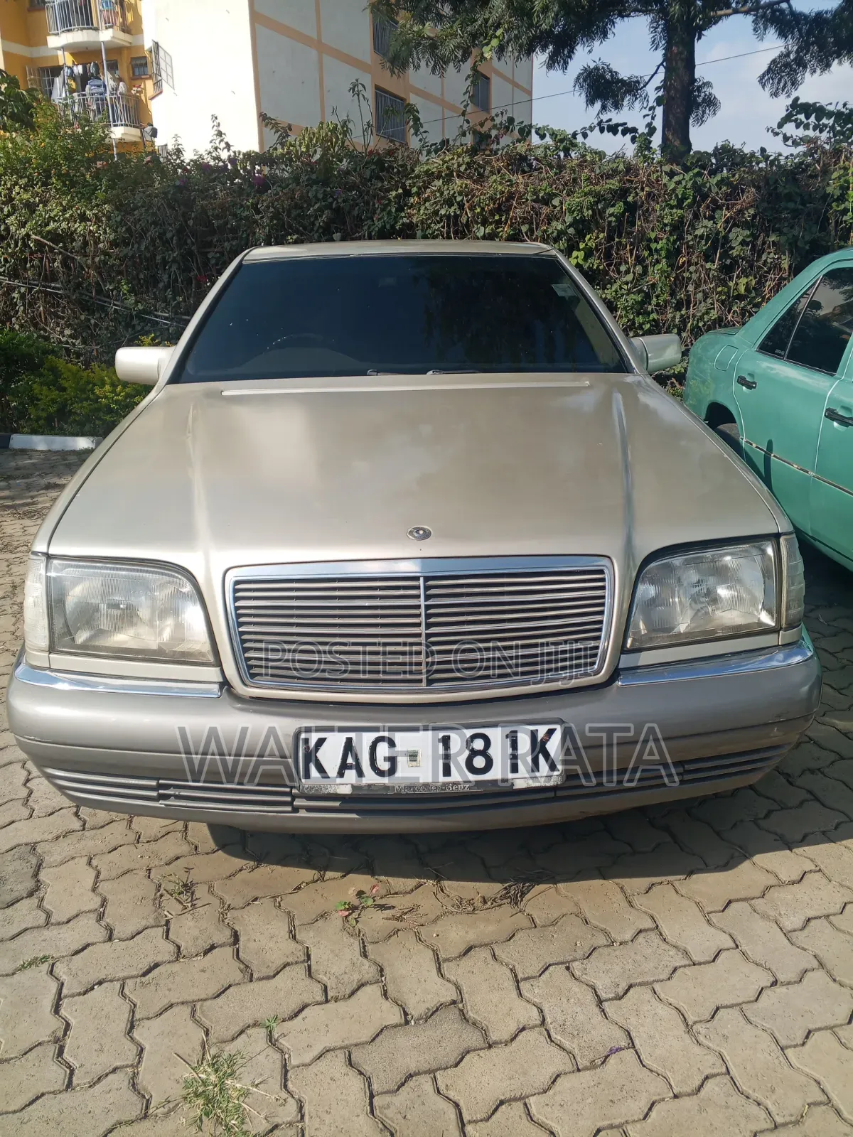 Mercedes-Benz S-Class 2000 Gray