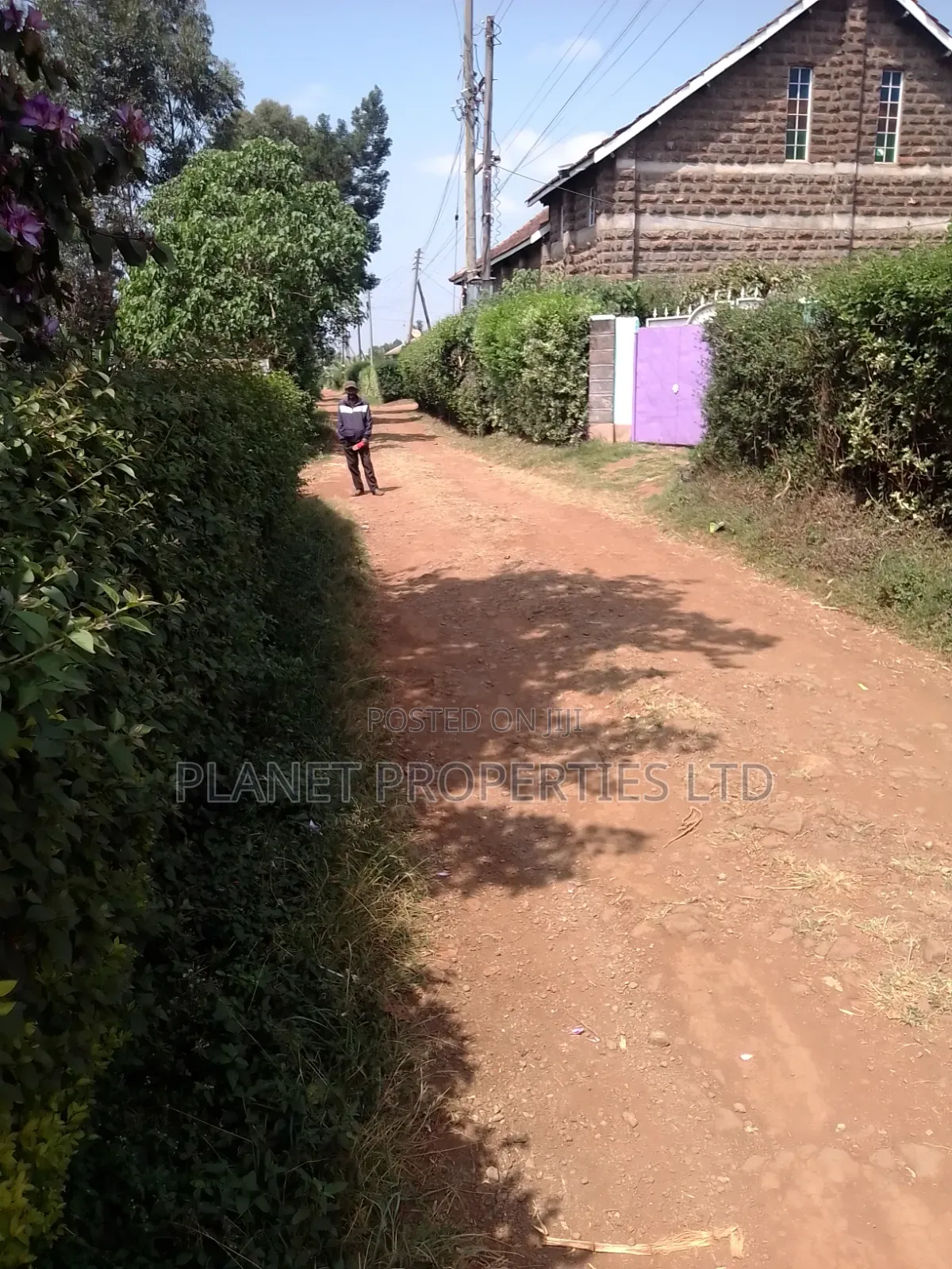 Prime Ruaka 3 Quarter Acre