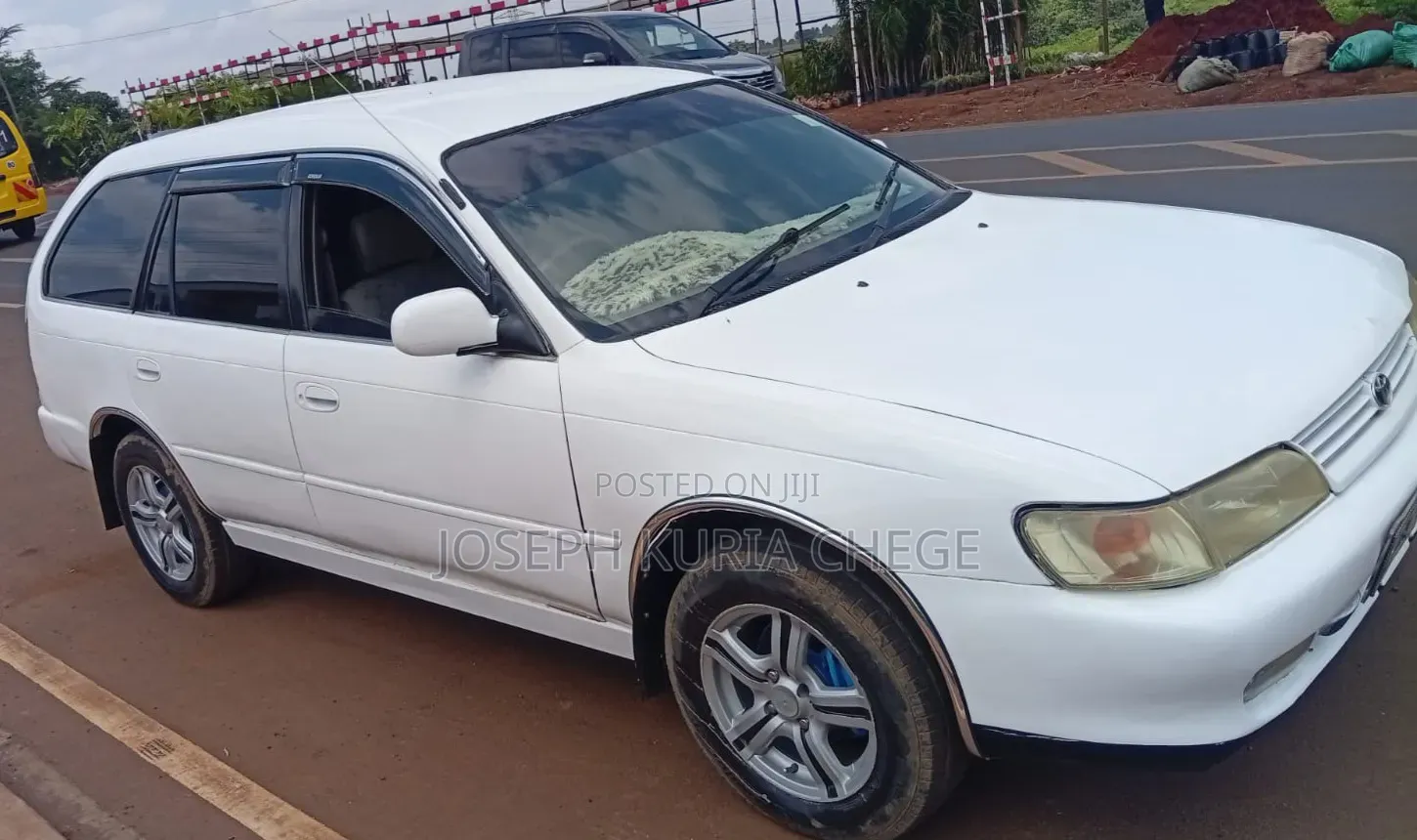 Toyota Corolla 1999 White