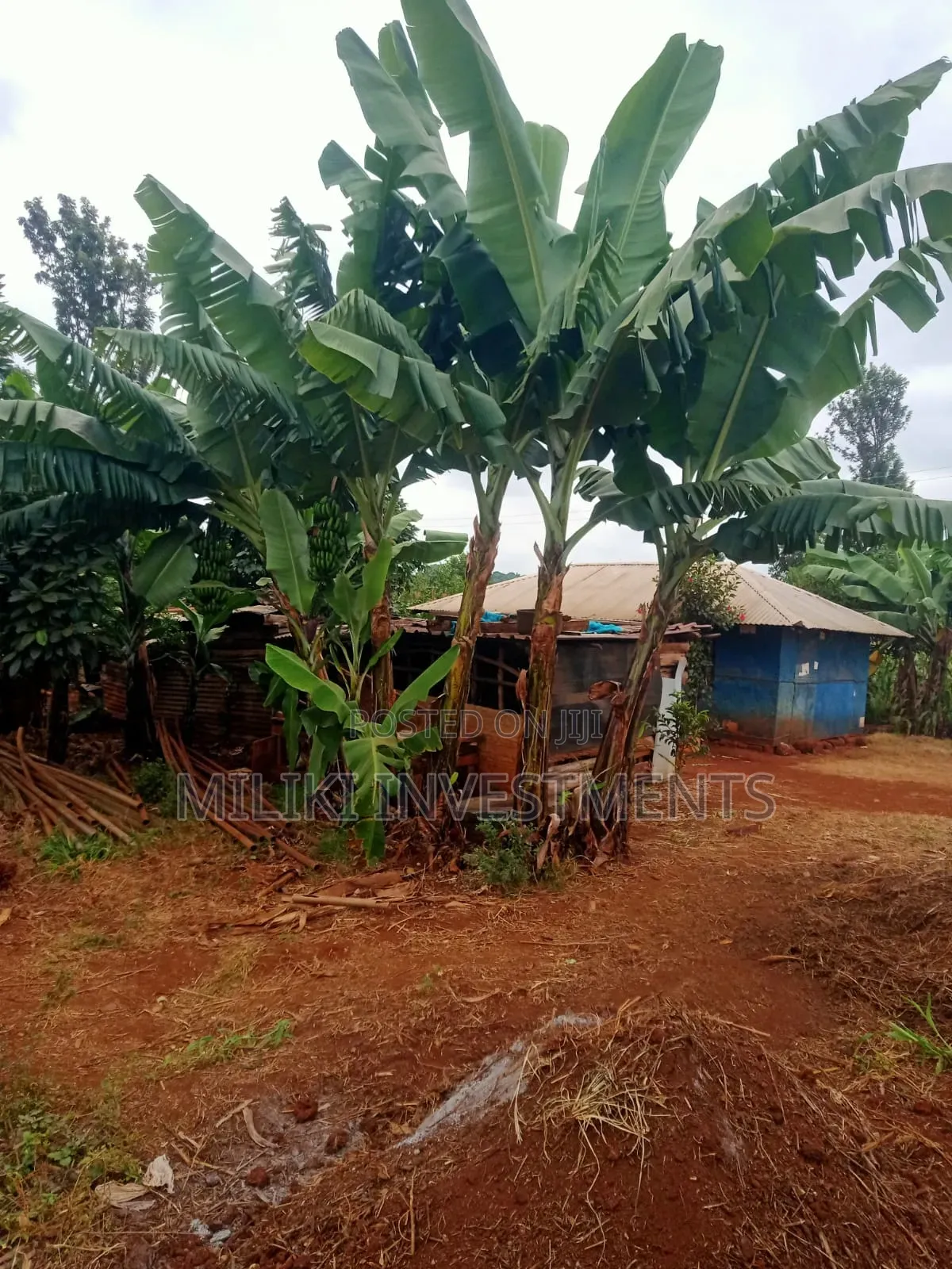 2 Acres of Land on Sale at Kirinyaga-Nyangati