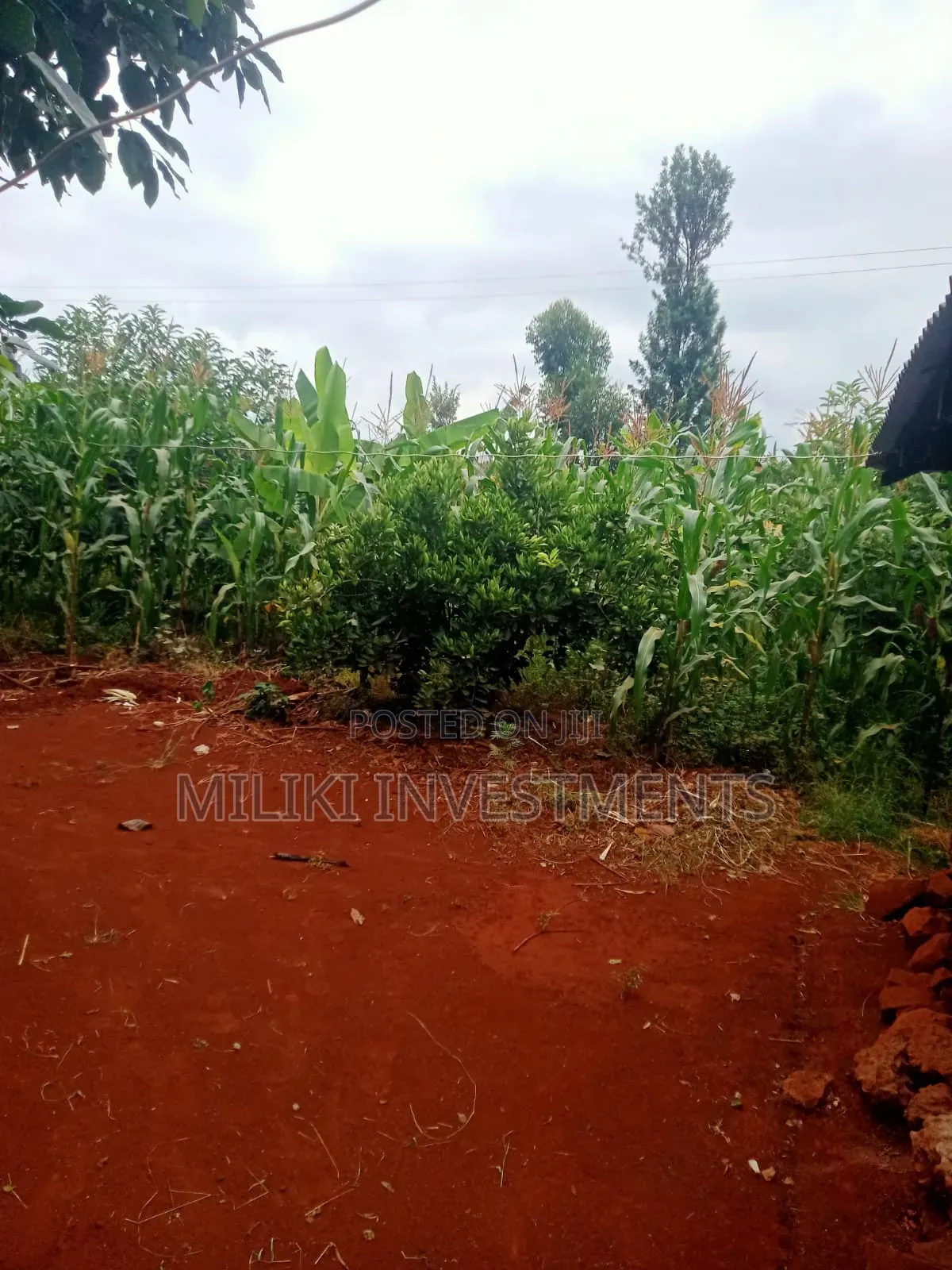 2 Acres of Land on Sale at Kirinyaga-Nyangati