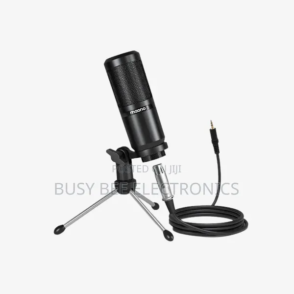 Wireless Microphone — Plug‐And‐Play Dual Lavalier System