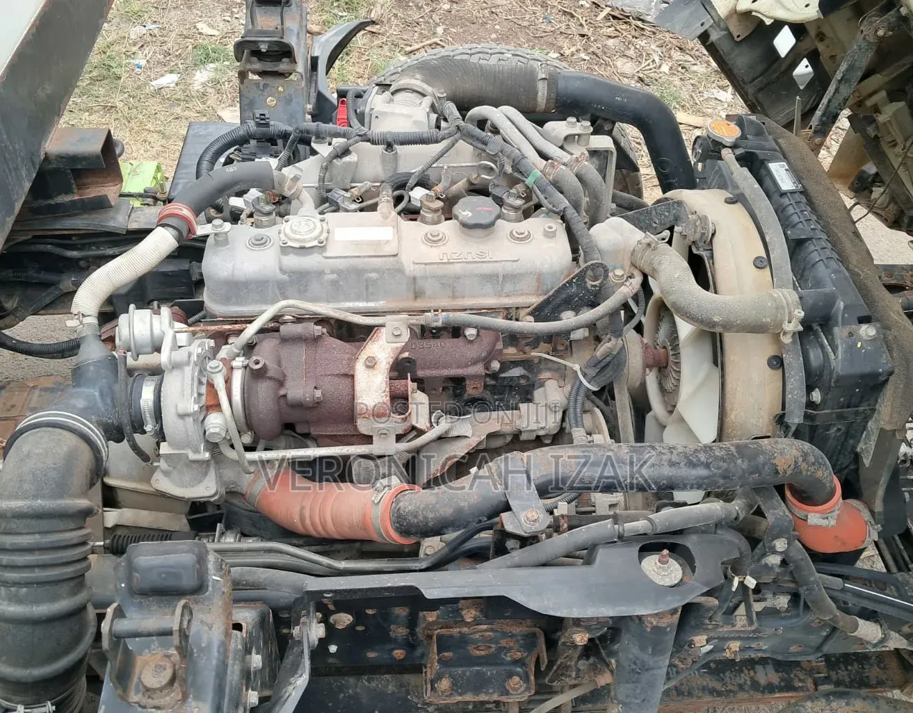 Isuzu NLR 2023