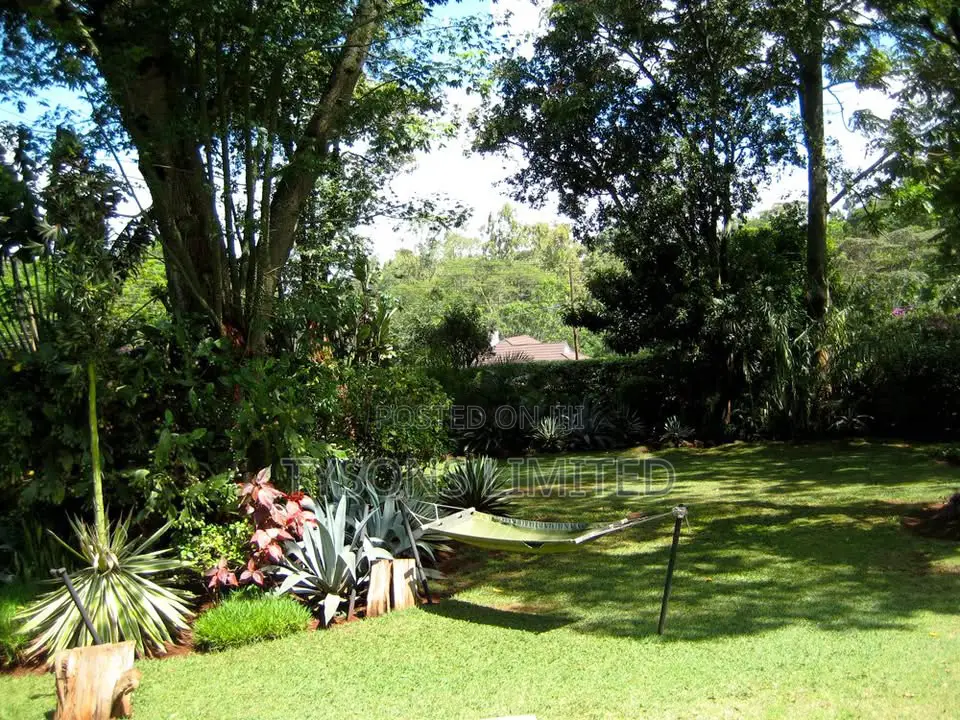 Land for Sale in Lavington - Chalbi Drive