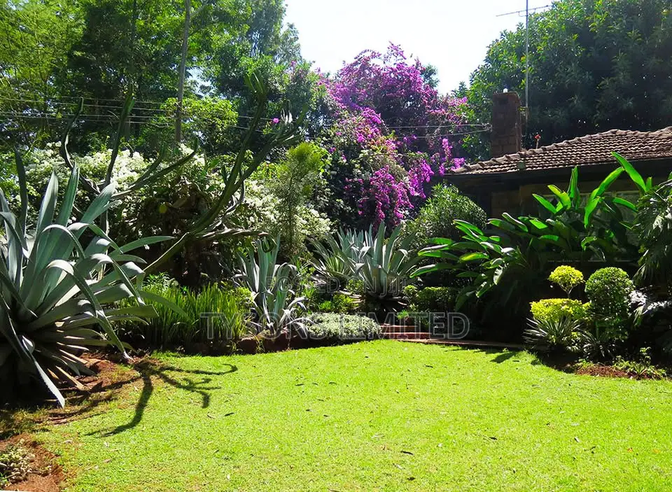 Land for Sale in Lavington - Chalbi Drive