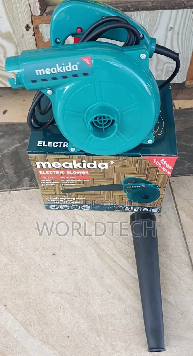 Meakida Electric Blower/600watts Electric Blower