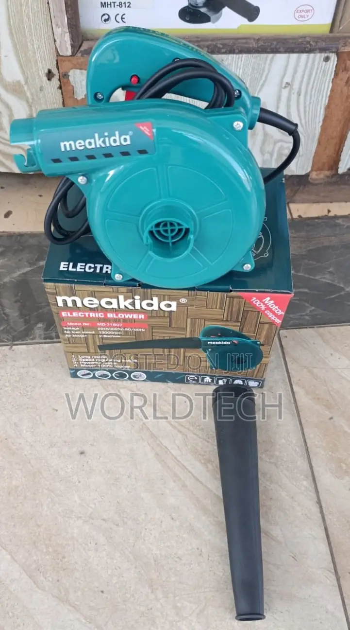 Meakida Electric Blower/600watts Electric Blower