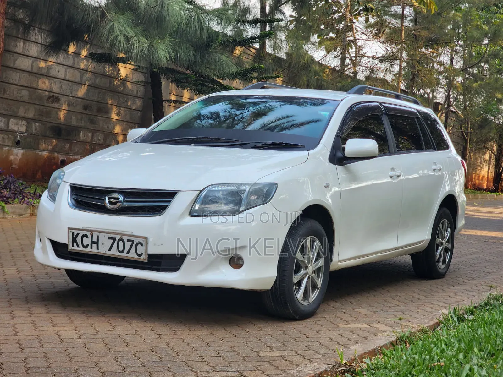 Toyota Corolla Fielder 2009 Pearl