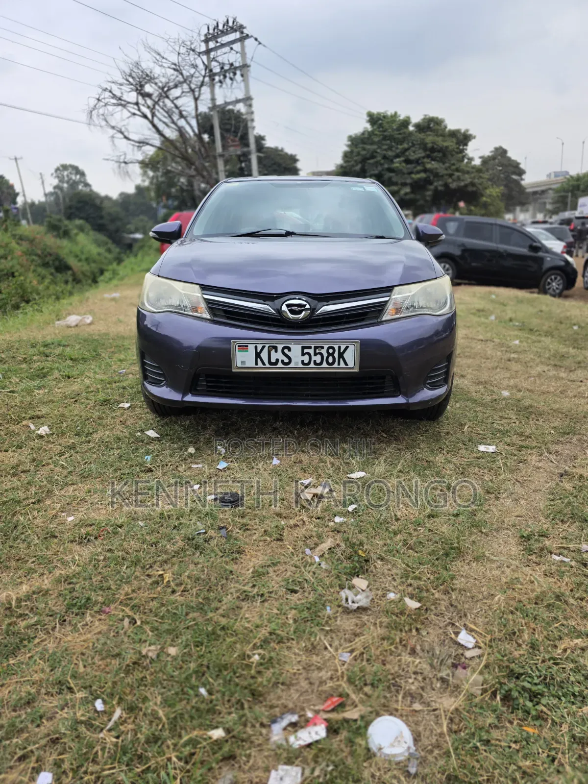 Toyota Corolla Fielder 2011 Purple