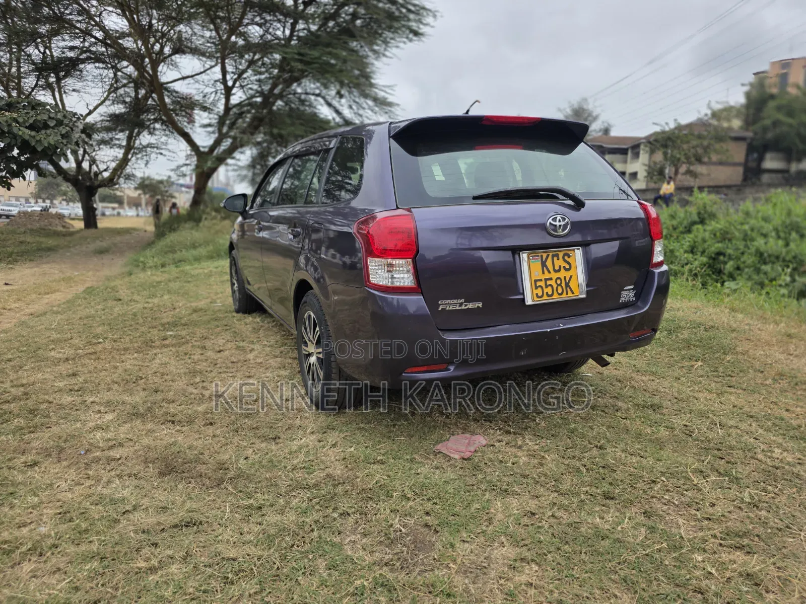 Toyota Corolla Fielder 2011 Purple