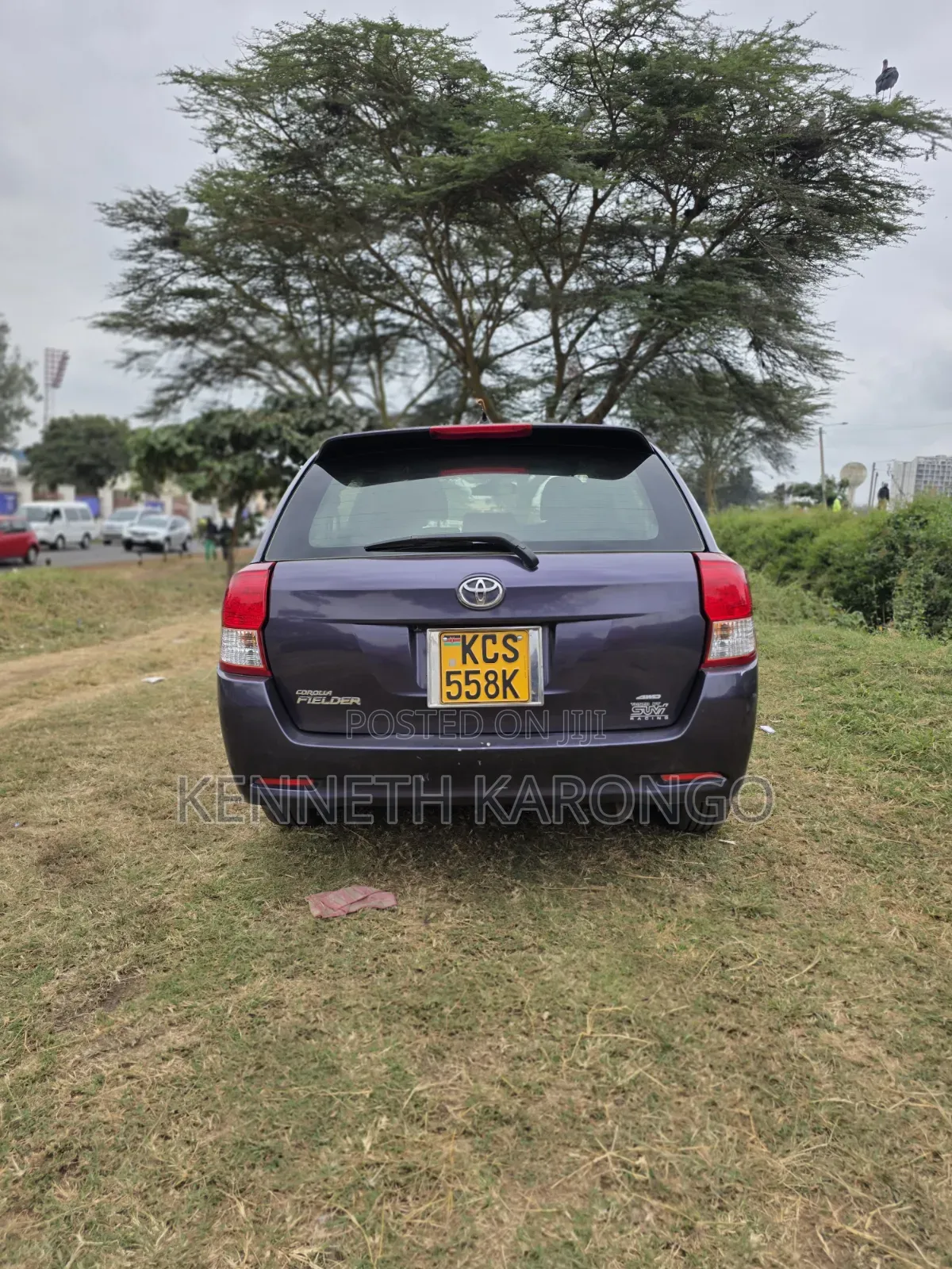 Toyota Corolla Fielder 2011 Purple