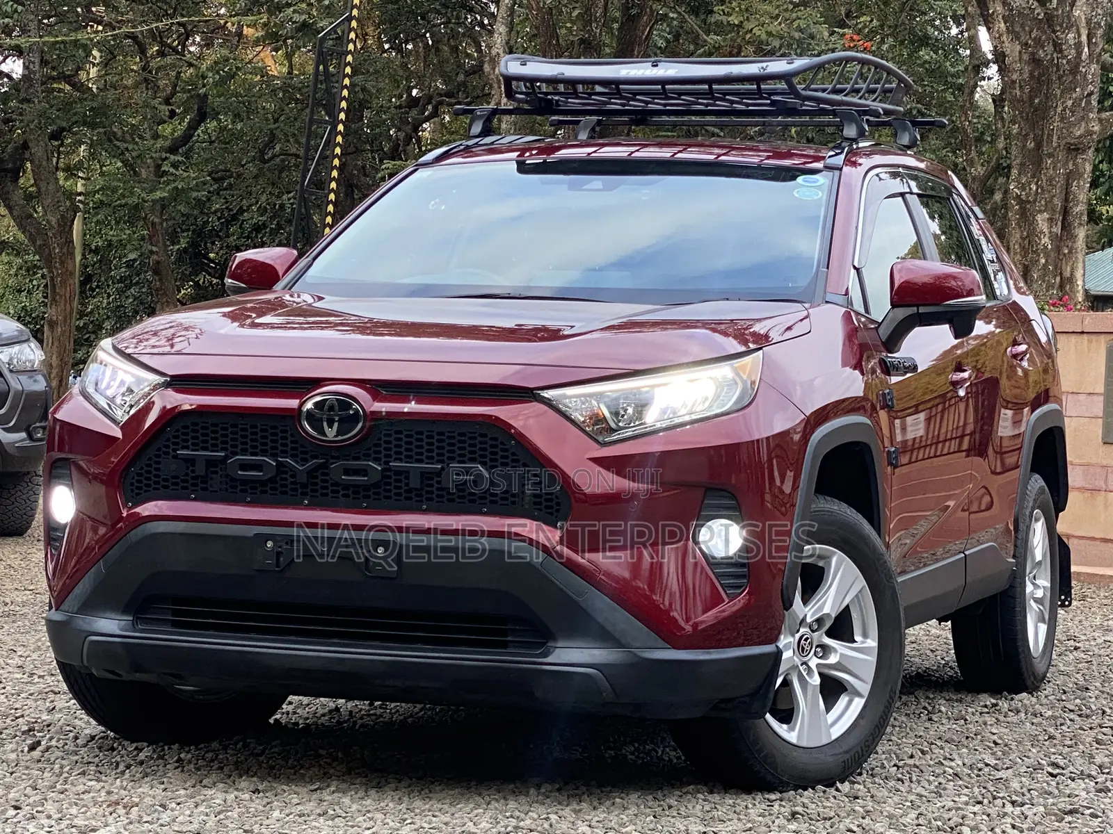 Toyota RAV4 Limited FWD 2019 Maroon