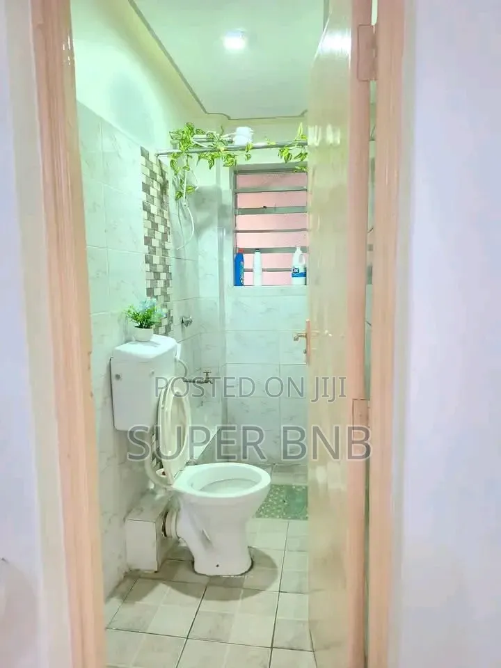 Airbnb Studio , 1 and 2 Bedrooms Fully Furnished at Kikuyu , Kabete