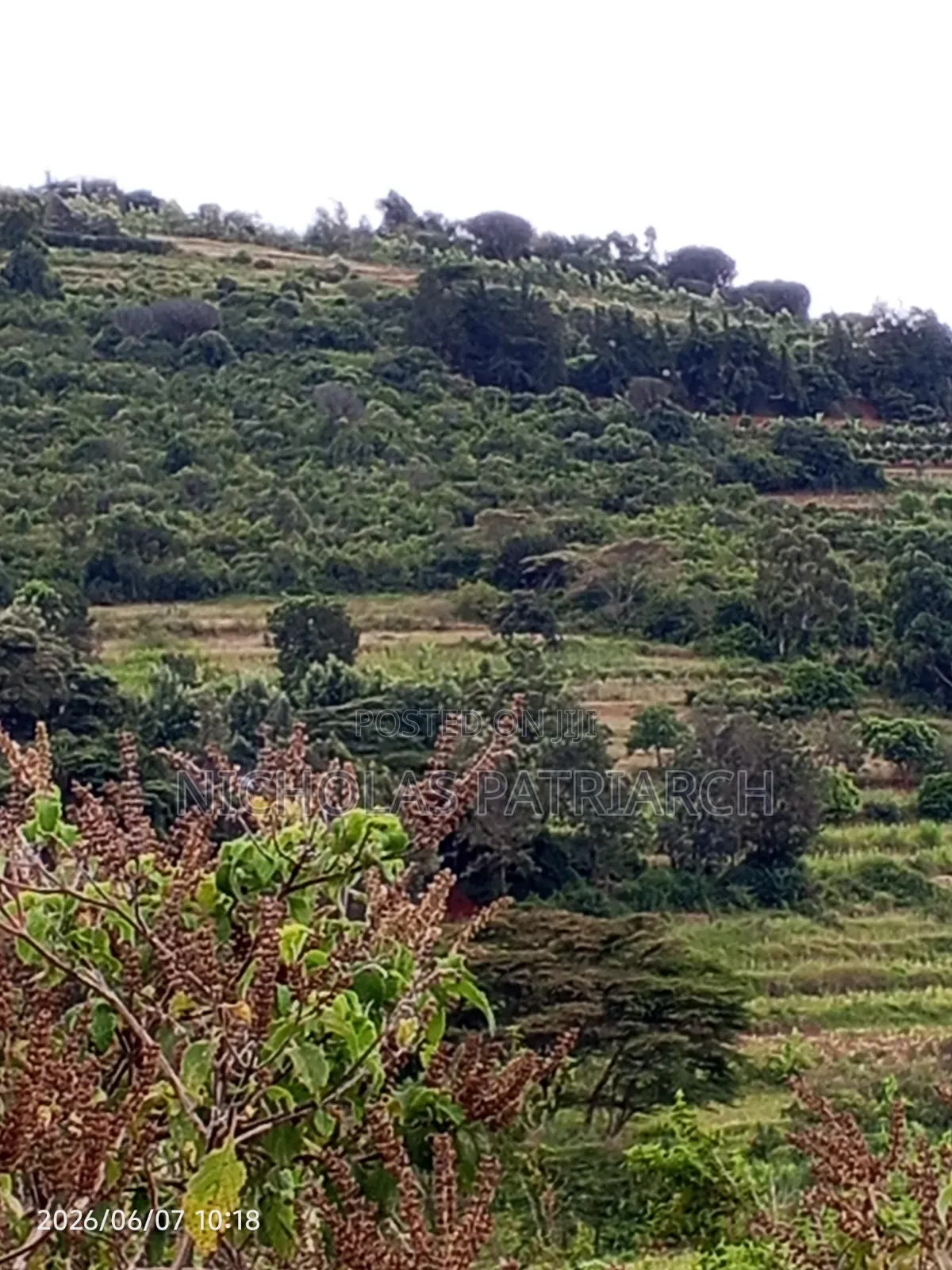 4 Acres Mua Hills Kitanga Selling