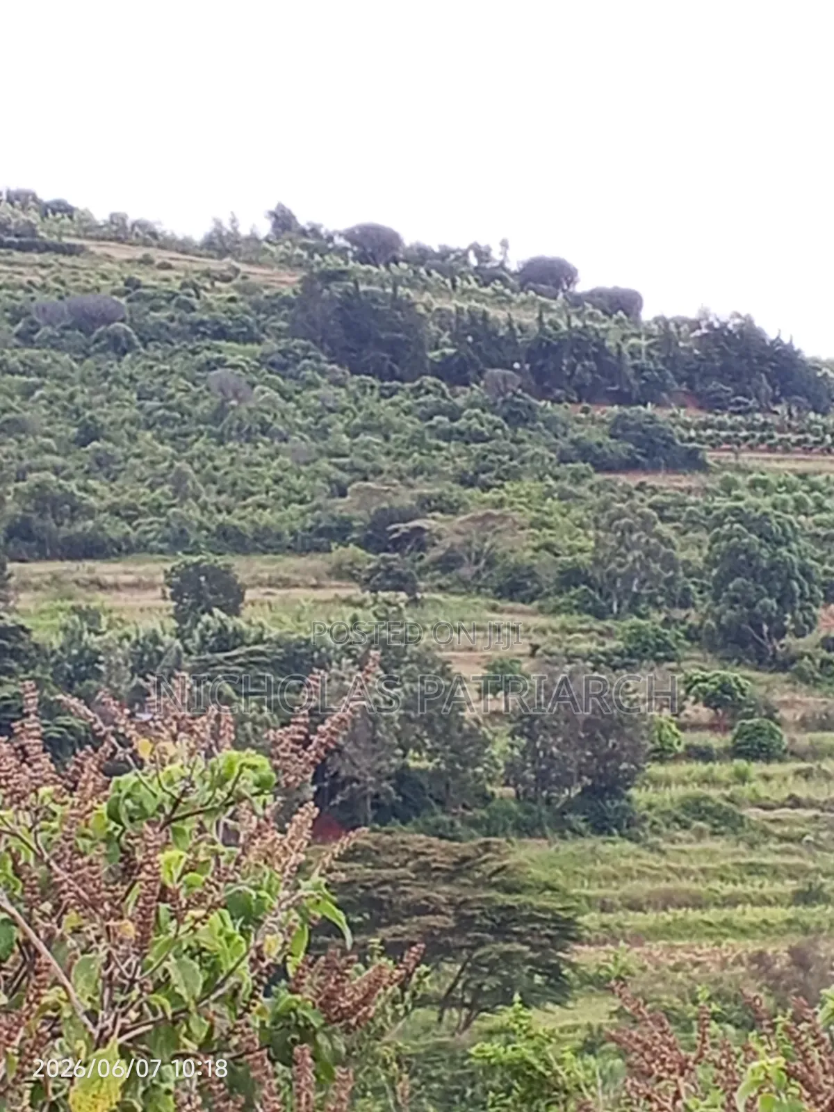 4 Acres Mua Hills Kitanga Selling