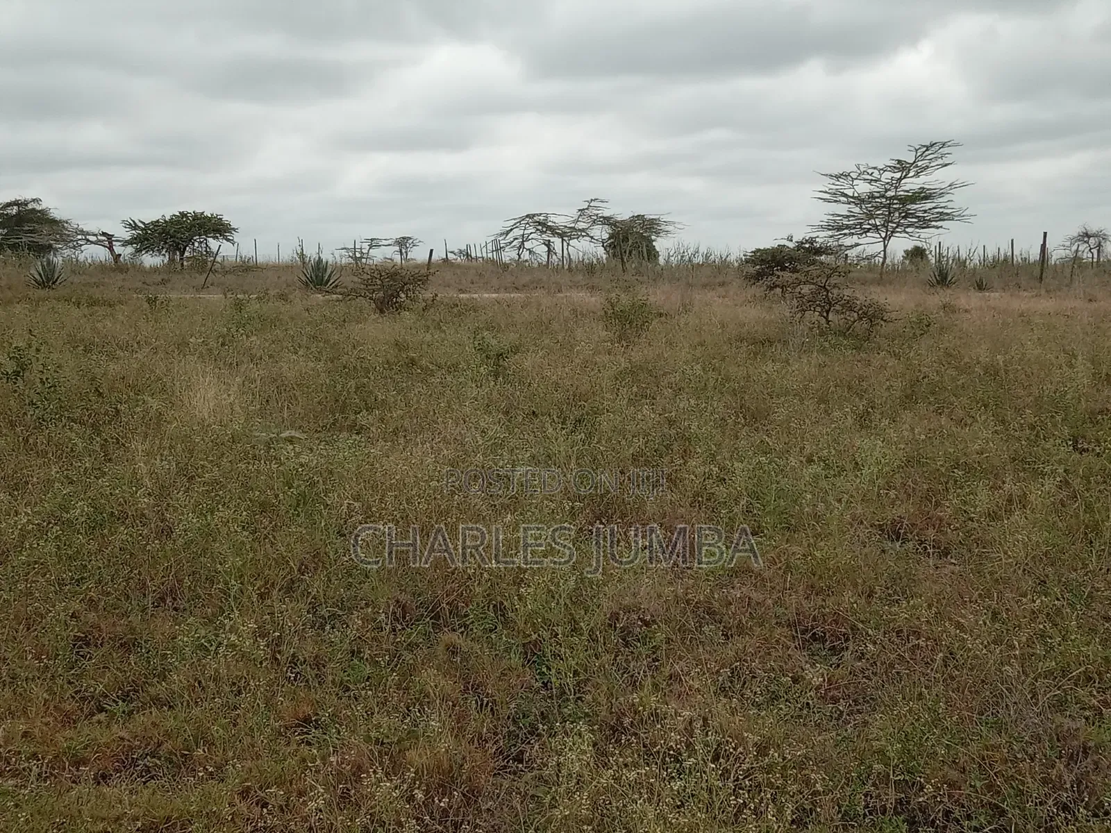 1/8 Plot in Oloika, Acacia
